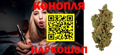 сатива Бугуруслан